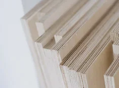 Plywood Biz Standard